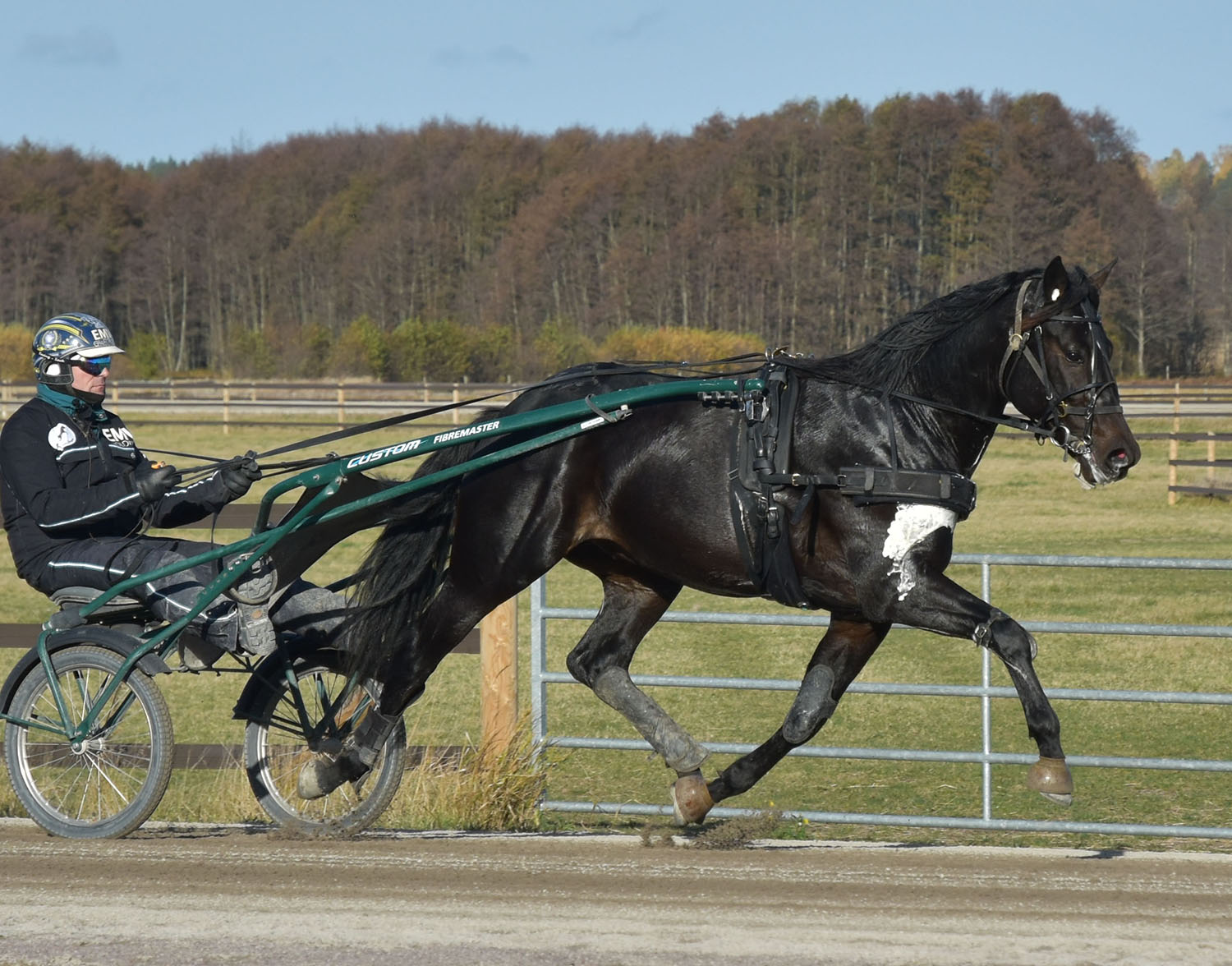 Horrendous V 241024-4